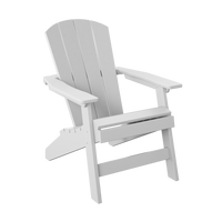 P1 Polybird Adirondack